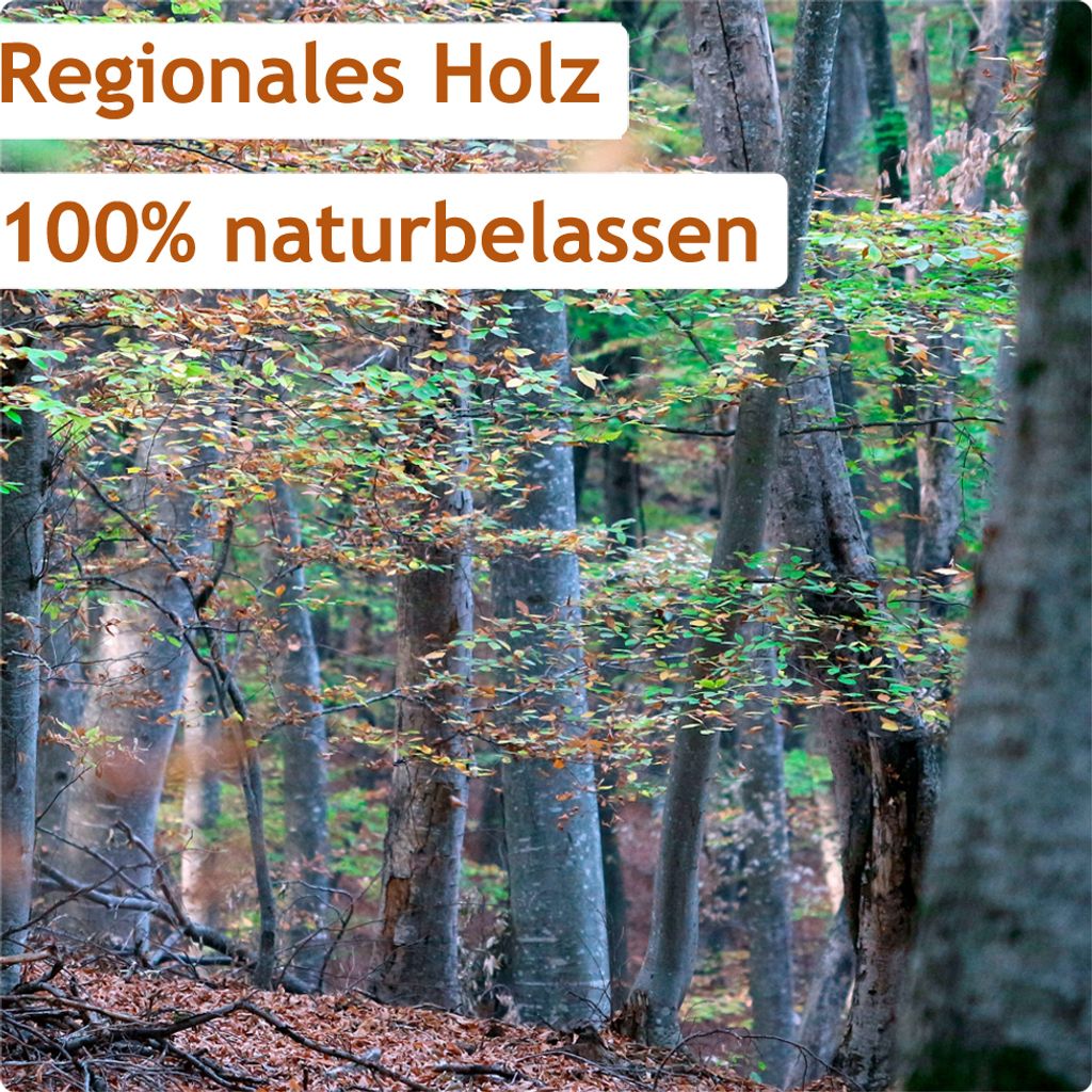 Brennholz Buche 60 kg – Ofenfertiges Kaminholz für Kamin und Grill – Ansicht 5